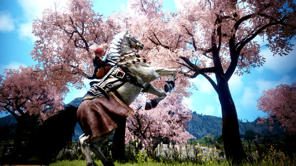 黒い砂漠 桜 8世代馬