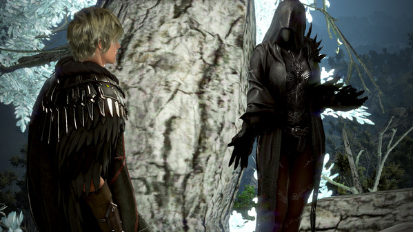 黒い砂漠 アーチャー 覚醒