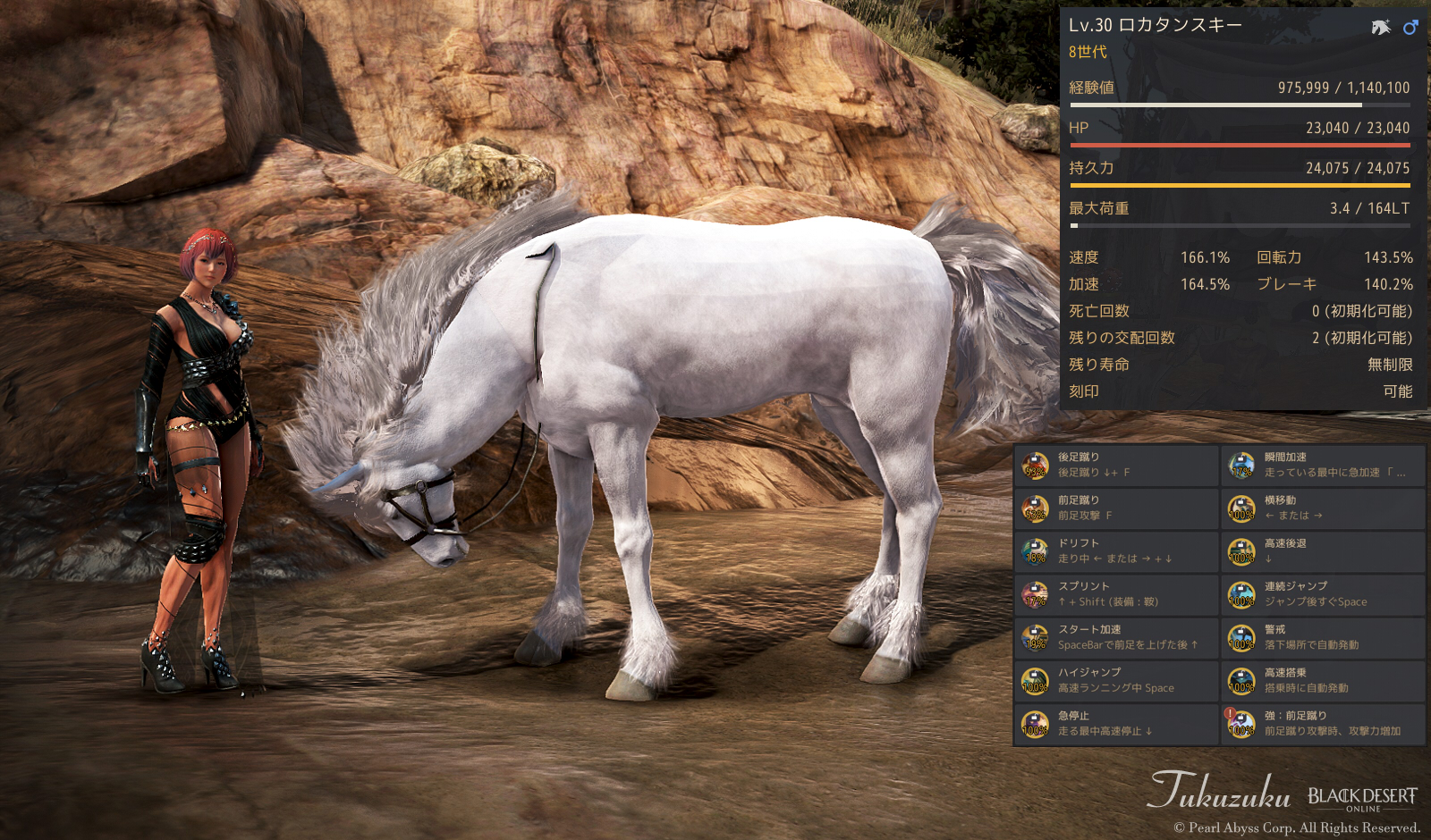 黒い砂漠 調教 名匠lv 3と 8世代馬 Valkyrie 黒い砂漠 調教 名匠lv 3と 8世代馬 Valkyrie