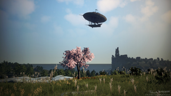 黒い砂漠 桜の木 フレーメの丘