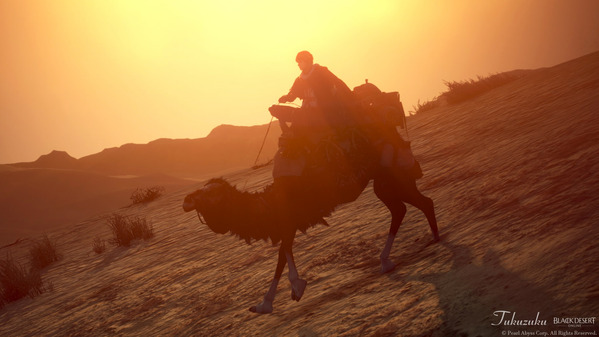 黒い砂漠 アーチャー ラクダ