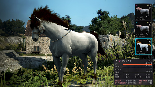 黒い砂漠 交配 6世代馬