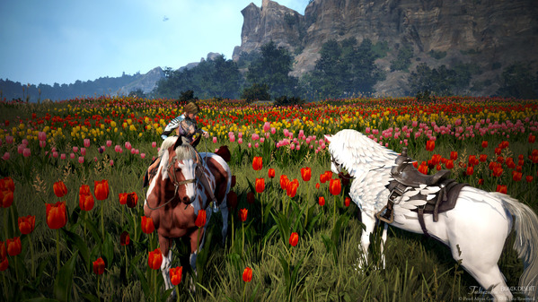 黒い砂漠 チューリップ フレーメの丘