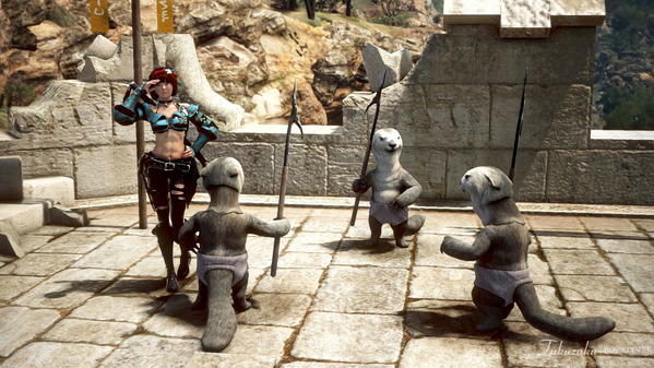 黒い砂漠 リトルサマナー 戦闘昇級 フェリオ三銃士