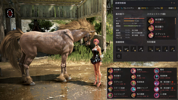黒い砂漠 8世代馬