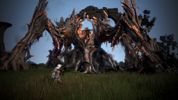 黒い砂漠 ワールドボス オピン