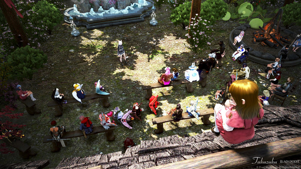 黒い砂漠COUNTRYギルドUlysses演奏会14