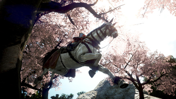 黒い砂漠 馬 桜