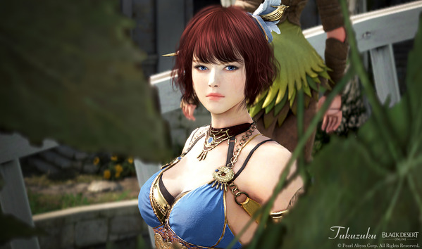 黒い砂漠 ミスティック キャラメイク 血狼 アバター 染色