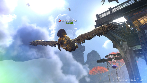 ELYON TERAコラボ 乗り物 フェニックス 水着エリーン