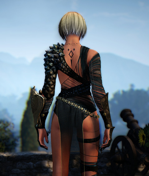 BlackDesertOnline Valkyrie フォールンガルザル