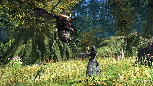 FF14 黒衣森：東部森林
