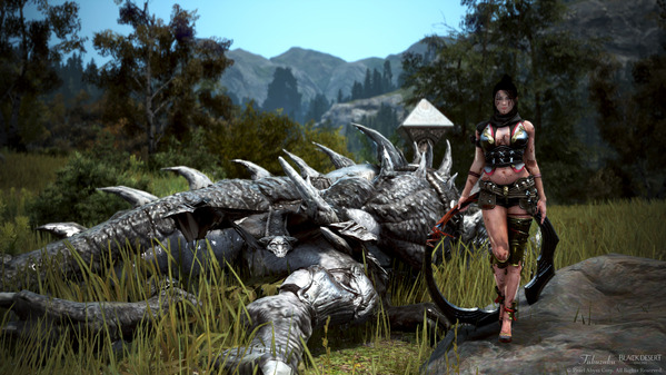 黒い砂漠 古代遺跡の結晶召喚書 くノ一