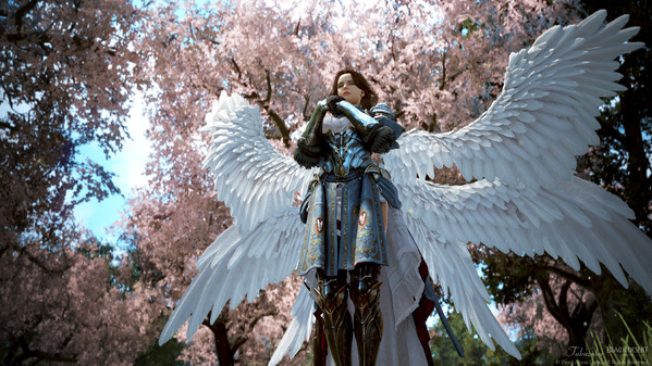 黒い砂漠 桜 セラフィム 審判衣装