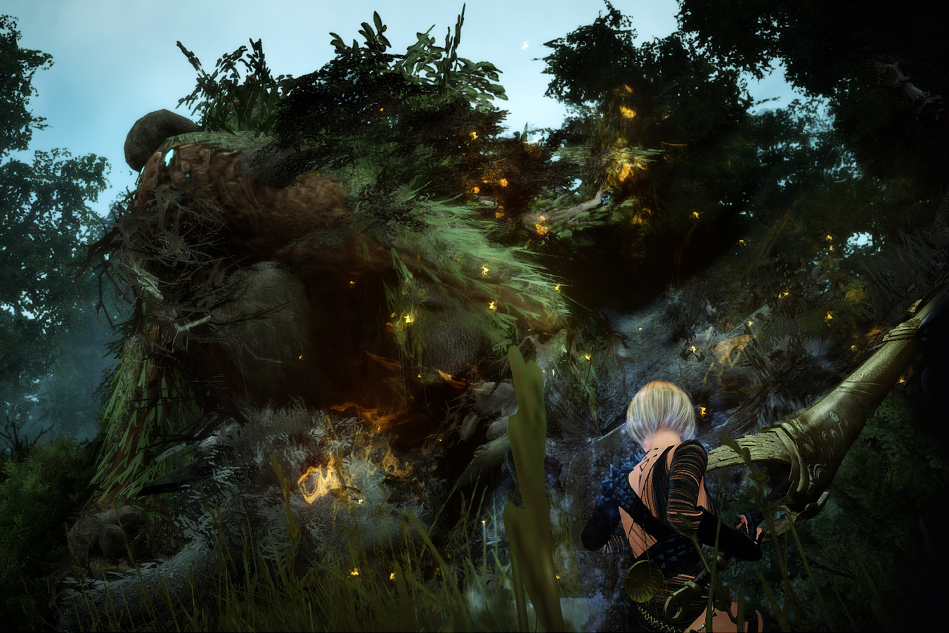 愚鈍な木の精霊の鎧 Valkyrie