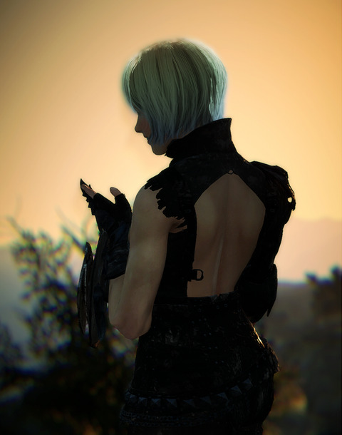 BlackDesert Valkyrie カーリー