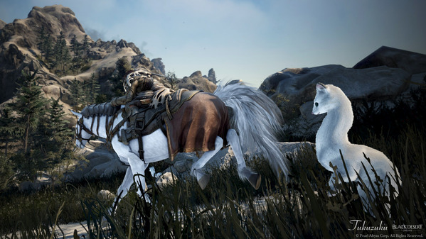 黒い砂漠 果てしない冬の山