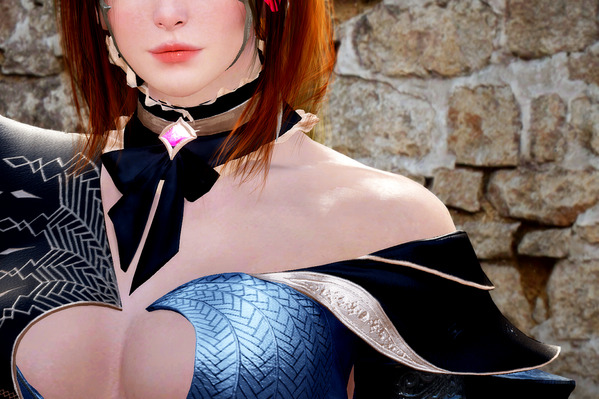 Black Desert Online Dark Knight Sin Terrna