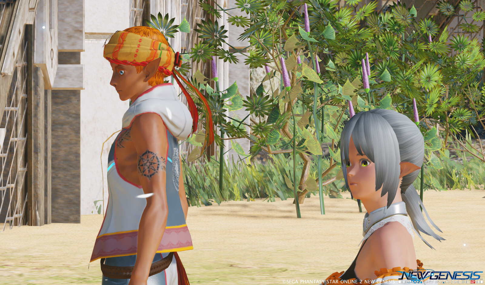 Pso2ngs 初ログインと Npcのキャラメイク Valkyrie Pso2ngs 初ログインと Npcのキャラメイク Valkyrie
