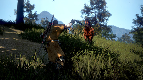 黒い砂漠 野生馬捕獲 ウォーリア