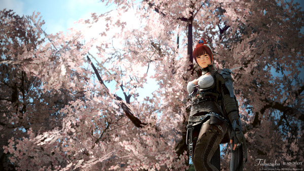 黒い砂漠 ヴァルキリー 桜並木