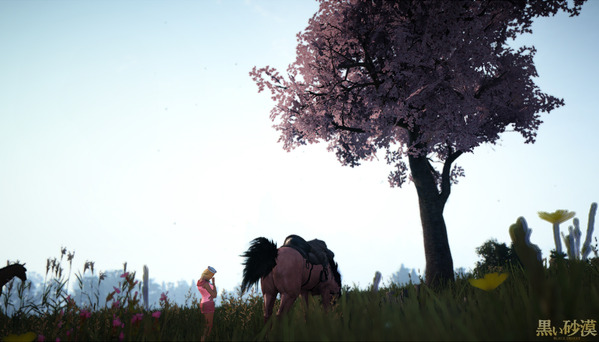 黒い砂漠 桜