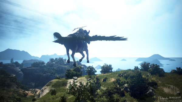 黒い砂漠 飛べ！ロドゥアナート！ ロバ