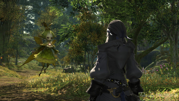 FF14 黒衣森：東部森林