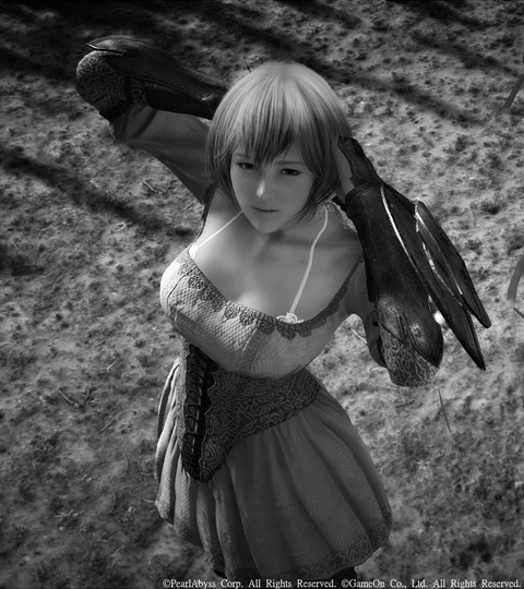黒い砂漠 フィーボ