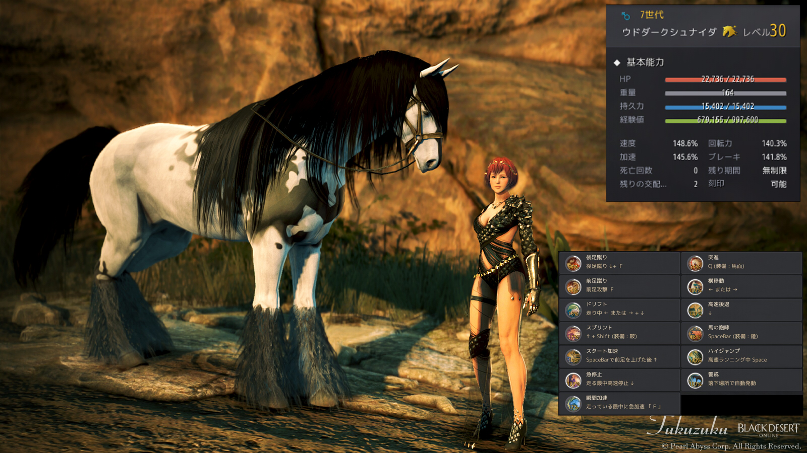 黒い砂漠 7 8世代馬とノヴァアバター Valkyrie 黒い砂漠 7 8世代馬とノヴァアバター Valkyrie