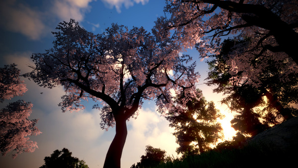 黒い砂漠 桜並木