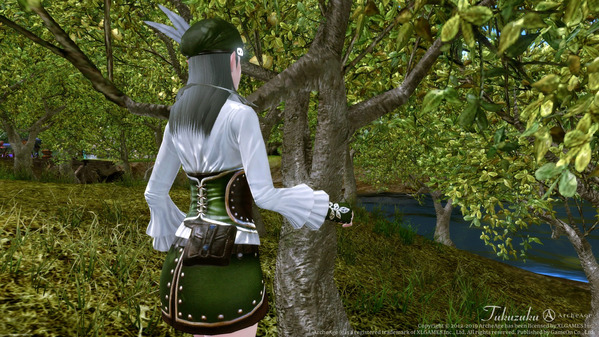 ArcheAge エルフ