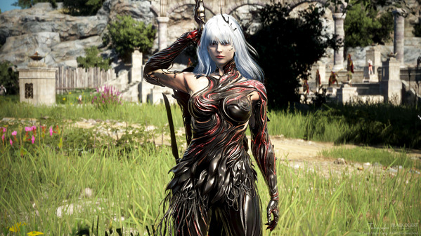 黒い砂漠 セラフィム 開放 闇