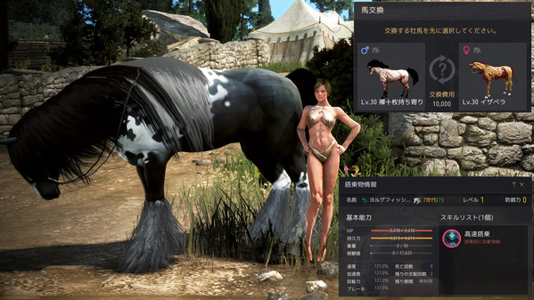 黒い砂漠 7世代馬