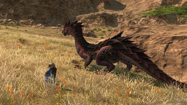 FF14 ララフェル 剣術士