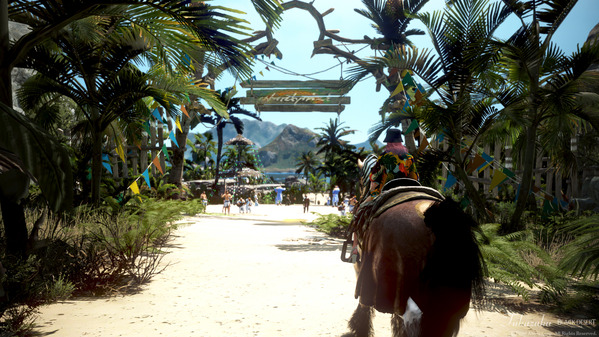 黒い砂漠 テルミアンの夜市