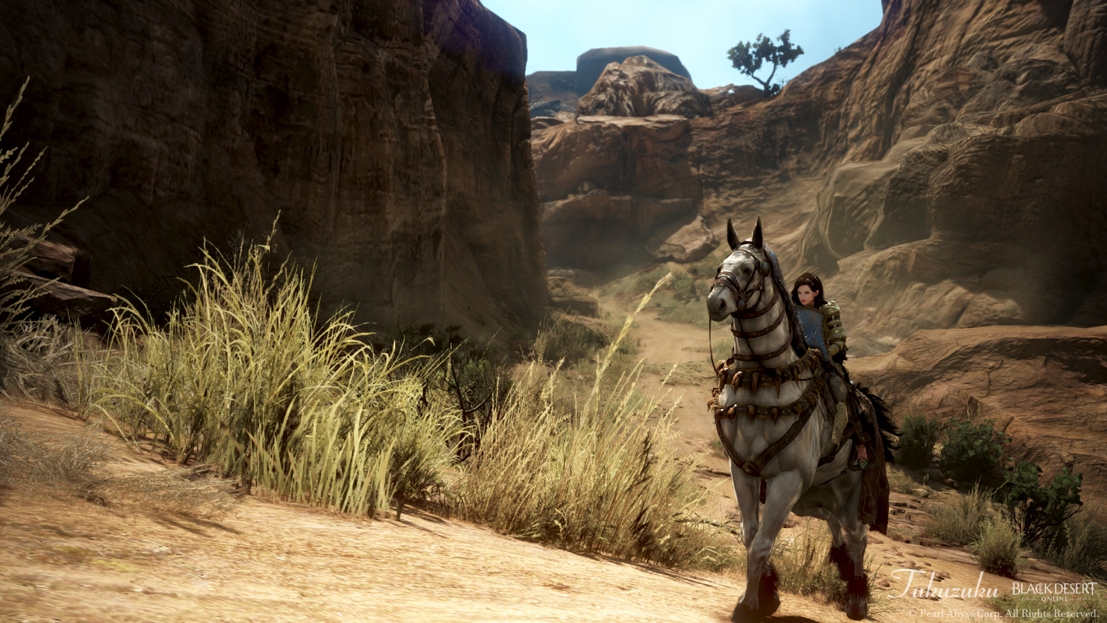 黒い砂漠 シャカトゥと デルスのプレゼント Valkyrie