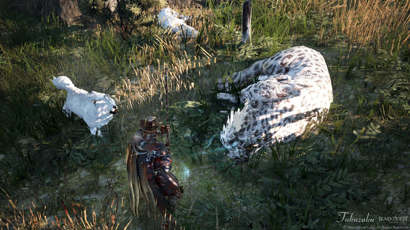 黒い砂漠 狩猟 野生の雪豹