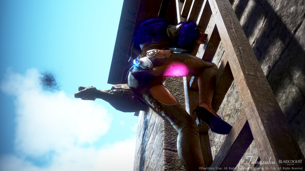 黒い砂漠 叫び屋の日誌 依頼