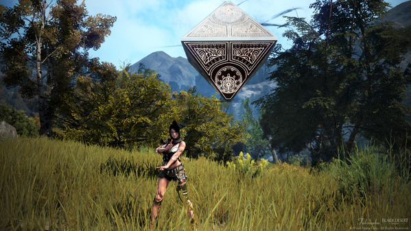 黒い砂漠 古代遺跡の結晶召喚書 くノ一