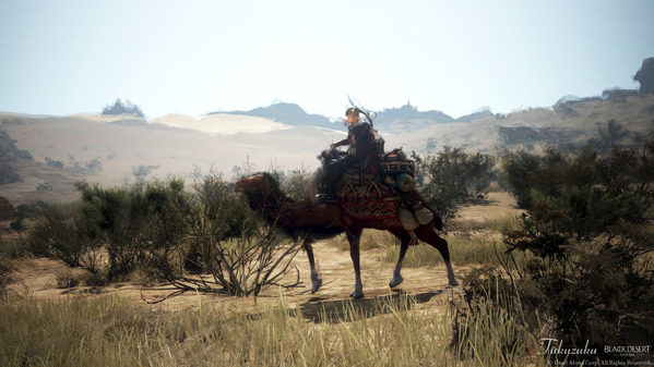 黒い砂漠 アーチャー ラクダ