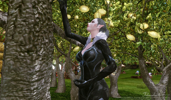 ArcheAge 採集