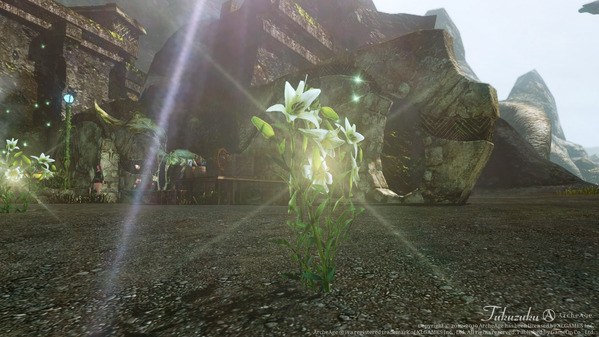 ArcheAge ボーンプレイス 地域クエスト