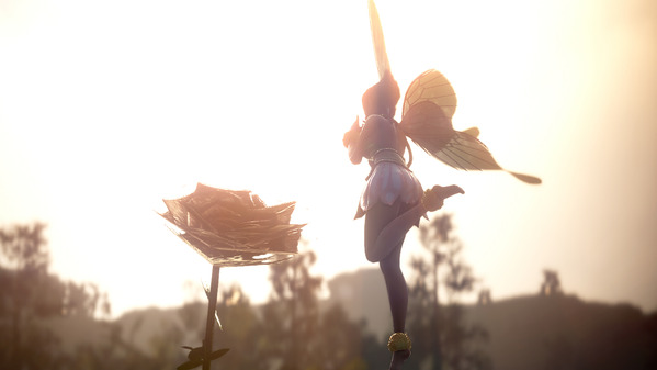 黒い砂漠 妖精 エモーション プロポーズ