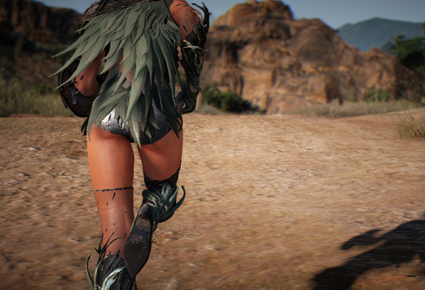 BlackDesert Valkyrie 黒い砂漠 サンシュヴァリエ