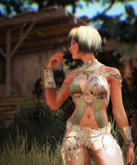 BlackDesert Valkyrie シャルルネ