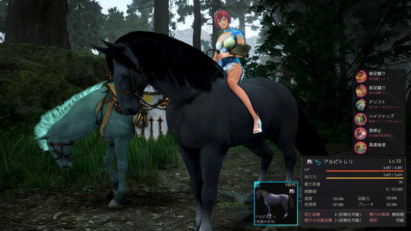 黒い砂漠 野生馬 5世代馬