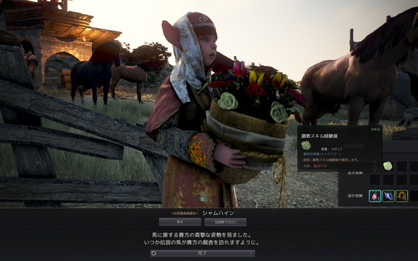 黒い砂漠 石尻尾の丘馬牧場