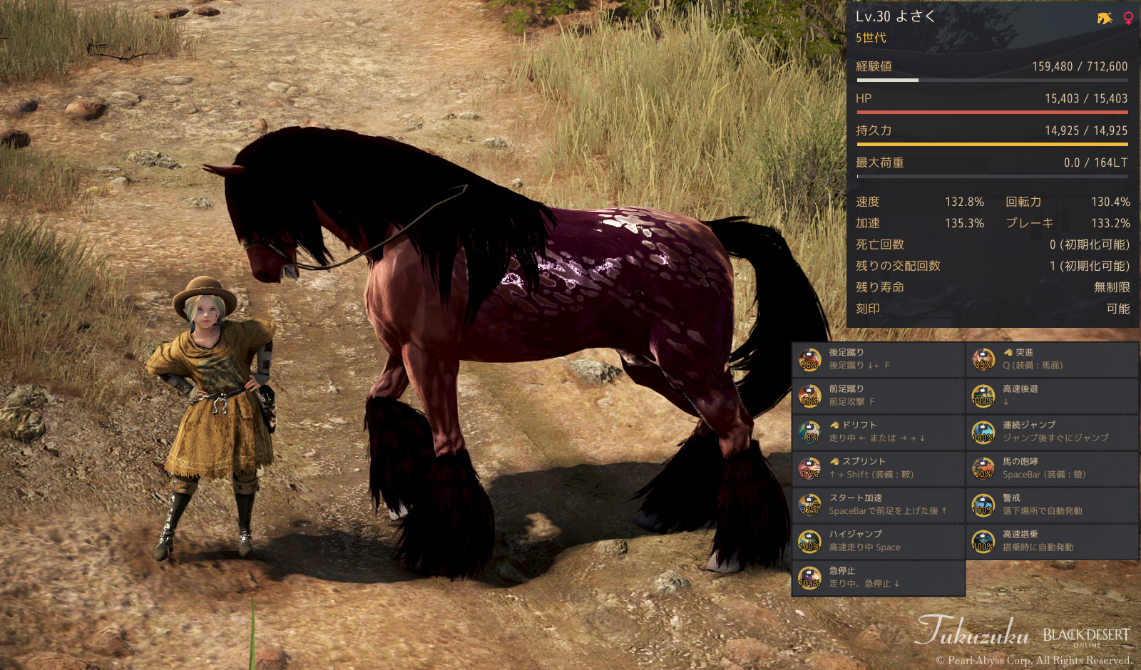 シャイの微調整と ５世代馬 Valkyrie