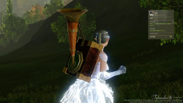 ArcheAge 取付レコーダー